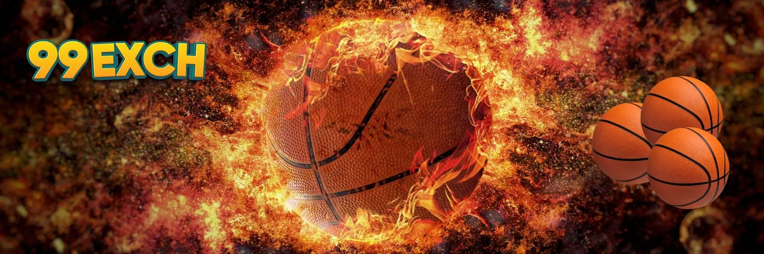 my99Exch Basketball on Fire